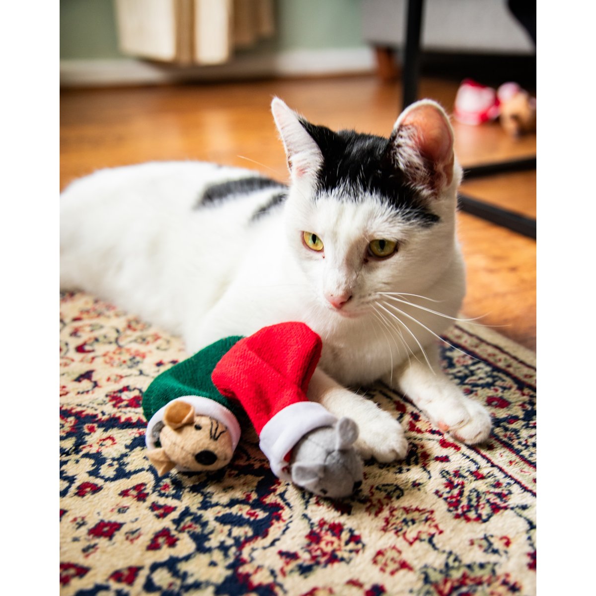 White cat with black markings resting on a patterned rug beside Rosewood Martha & Mayor Mice Duo Christmas cat toys in red and green stockings.