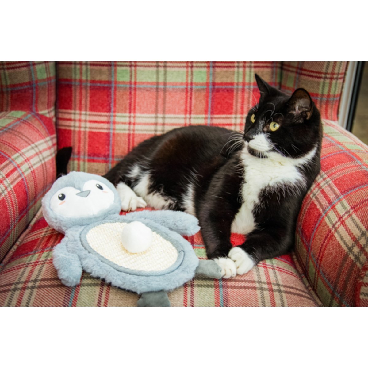 Black and white cat resting on a red tartan armchair beside the Rosewood Mr Poppy Penguin plush Christmas cat scratcher mat.
