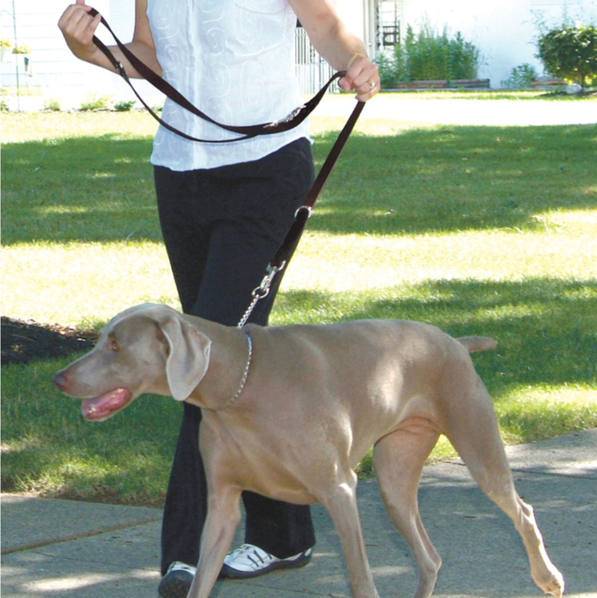 Rosewood Multi-Function Nylon Dog Lead shown in an adjustable walking configuration