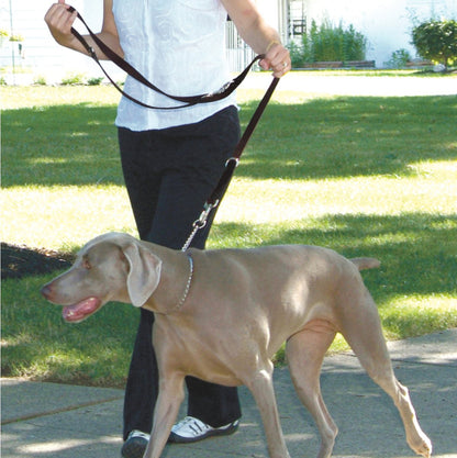 Rosewood Multi-Function Nylon Dog Lead shown in an adjustable walking configuration