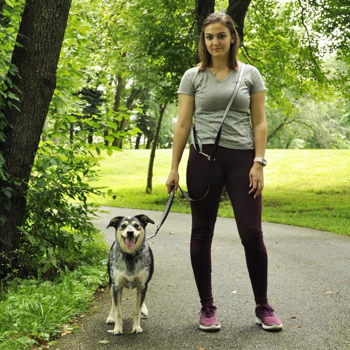 Rosewood Multi-Function Nylon Dog Lead configured as a shoulder lead