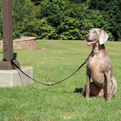 Rosewood Multi-Function Nylon Dog Lead used as a temporary tie-out