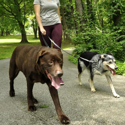 Rosewood Multi-Function Nylon Dog Lead configured for walking two dogs