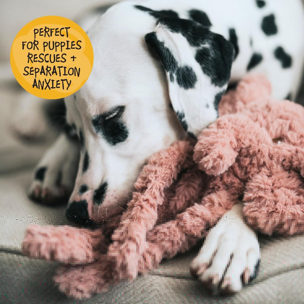 Dog resting with Rosewood My Dog Elephant plush dog toy for comfort and companionship