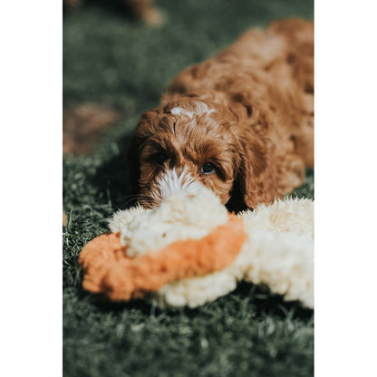 Puppy resting beside Rosewood My Dog Lion soft plush dog toy