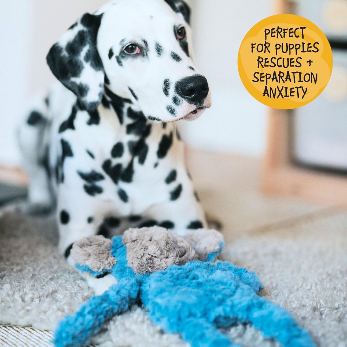 Dog resting with Rosewood My Dog Monkey soft plush dog toy