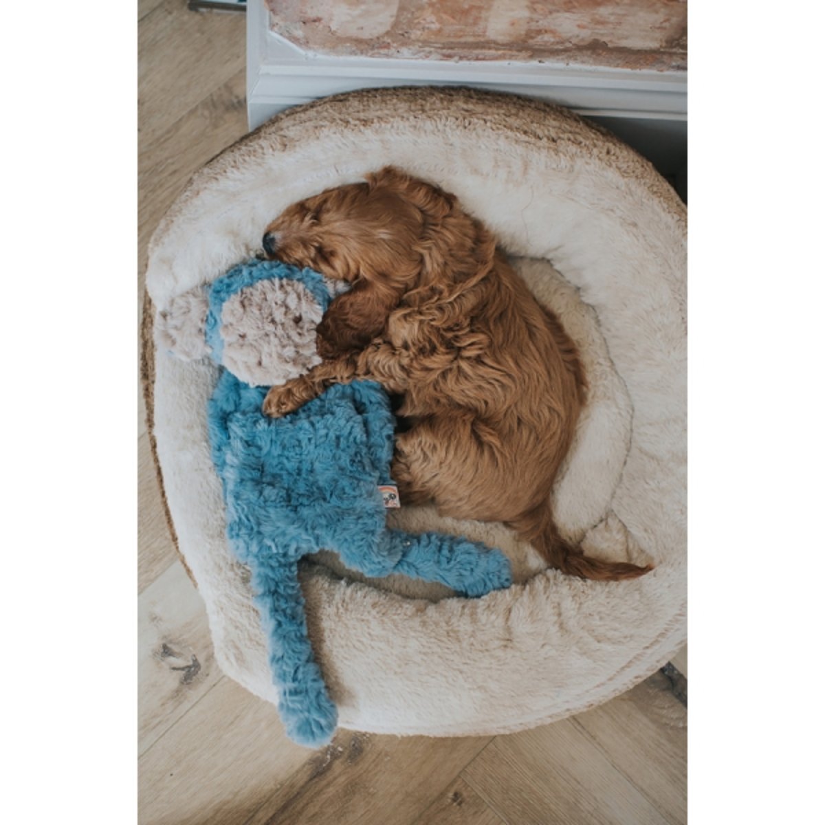 Puppy cuddling Rosewood My Dog Monkey plush dog toy in a dog bed