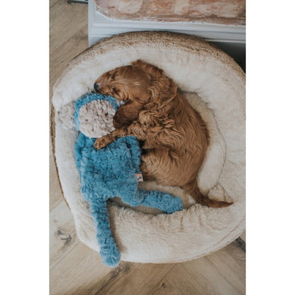Puppy cuddling Rosewood My Dog Monkey plush dog toy in a dog bed