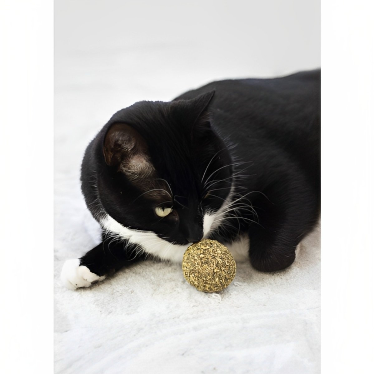 Black-and-white cat examining a Rosewood Naturals catnip ball on a light rug