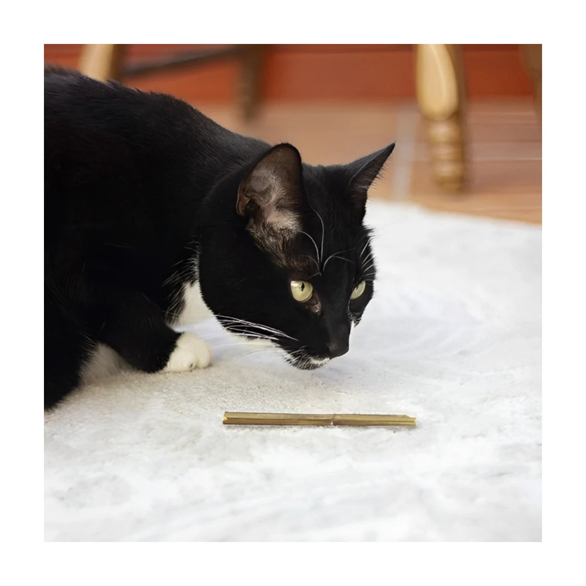 Black-and-white cat examining a Rosewood Naturals catnip stick on a light rug