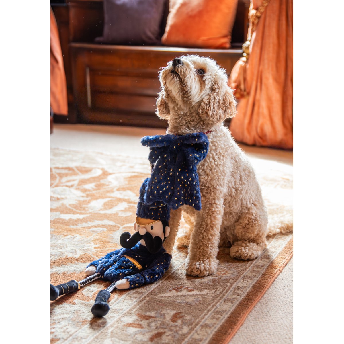 Happy cream-coloured dog sitting next to Rosewood Nermal Nutcracker dog toy showing its braided rope handle and navy plush body