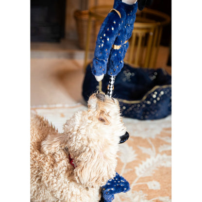 Cream curly-haired dog reaching towards a navy and gold Nermal Nutcracker plush squeaky dog toy