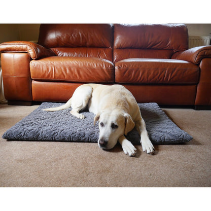 Cream Labrador lying on a grey Rosewood Orthopaedic Bone Plush Dog Mattress with its head resting on the carpet in front of a brown leather sofa.