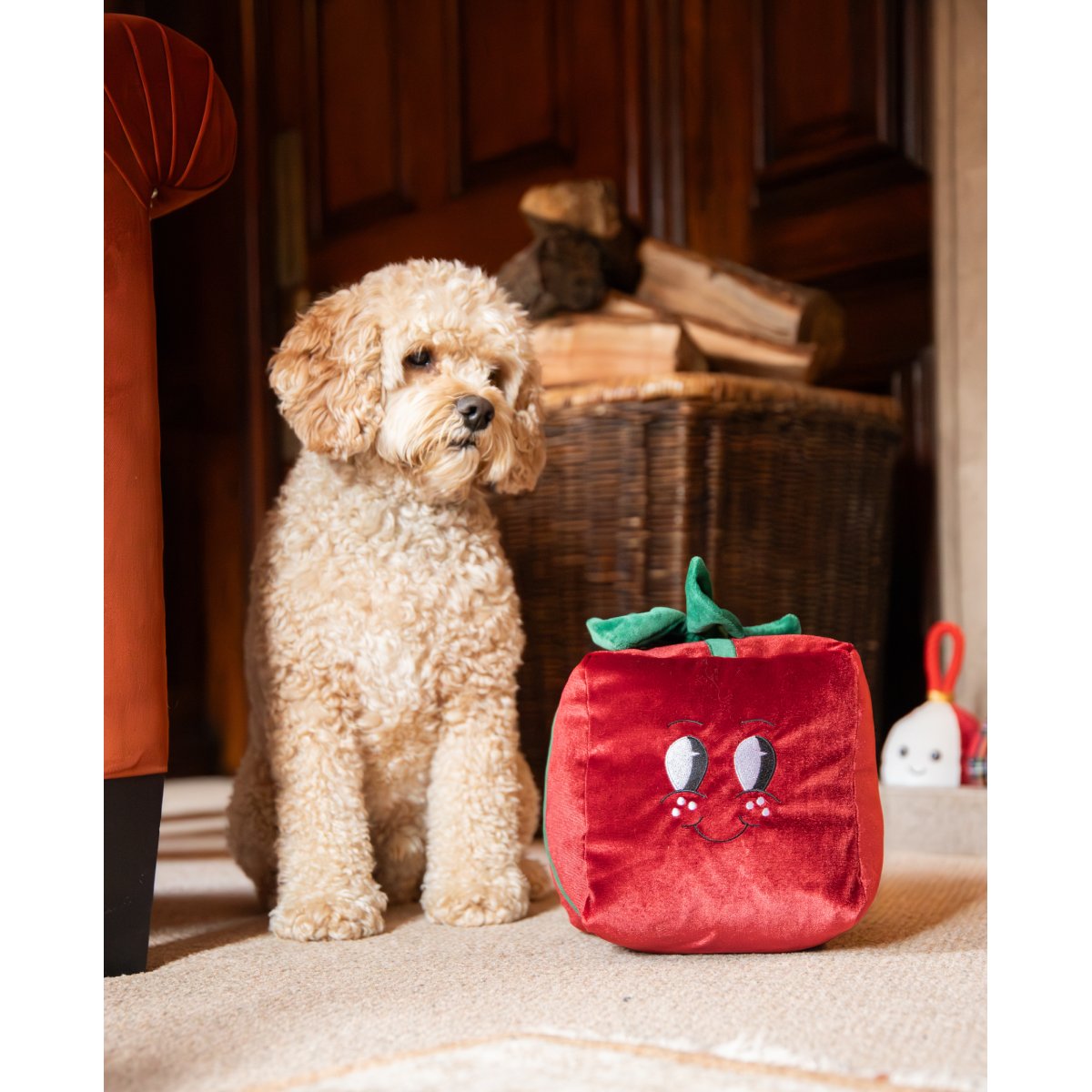 Cream curly-haired dog sitting beside the Rosewood Peter Present XL Christmas plush toy on a carpet indoors.