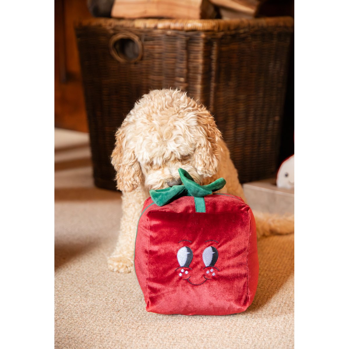 Curly-haired dog interacting with the Rosewood Peter Present XL red plush Christmas gift toy, featuring its green bow and embroidered face.