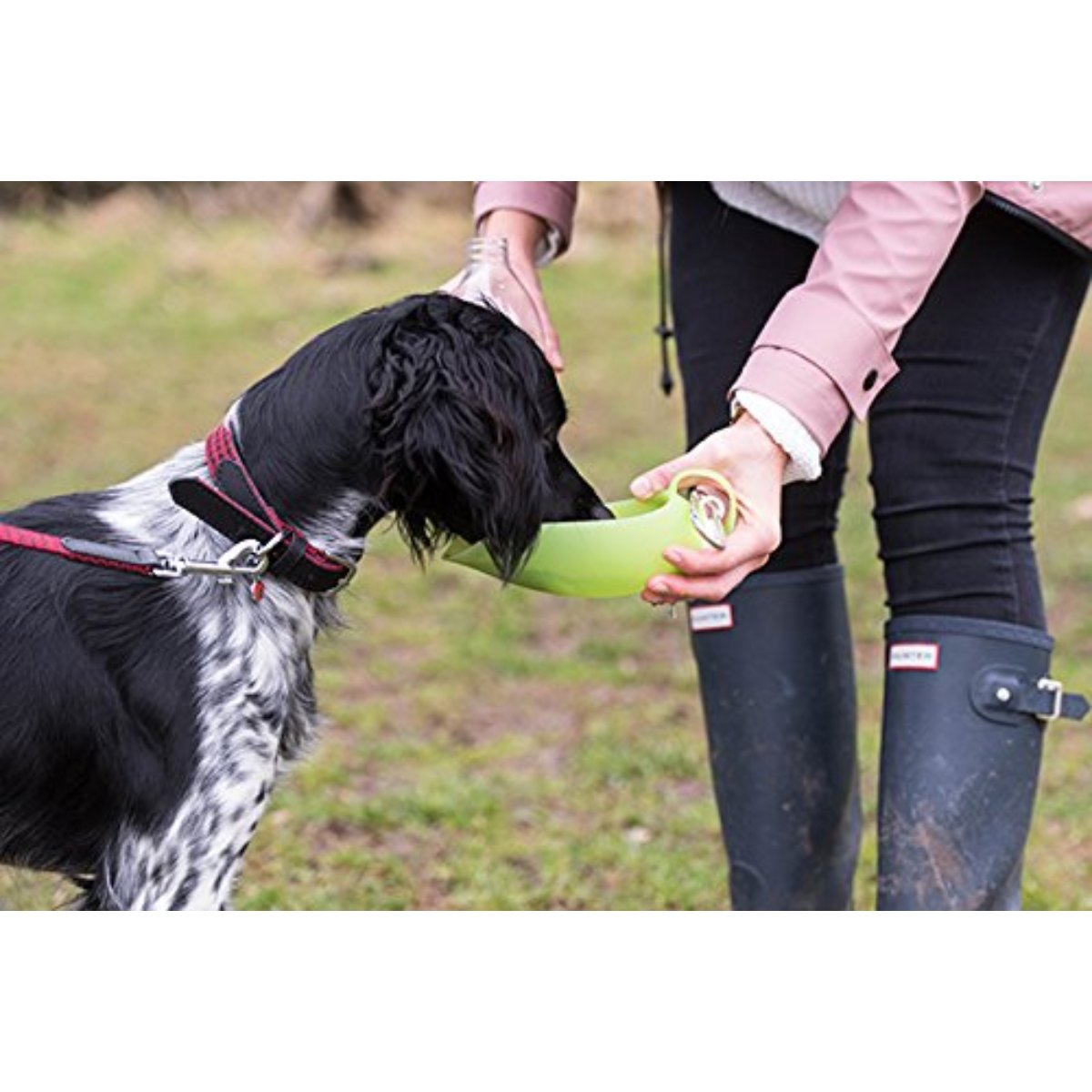Dog drinking water from Rosewood Portable Leaf Travel Bottle while outdoors