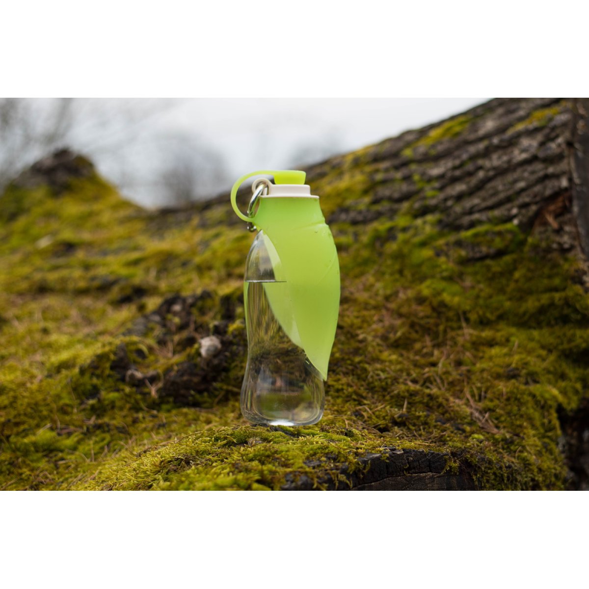 Rosewood Portable Leaf Travel Bottle outdoors for pet walks, travel and road trips