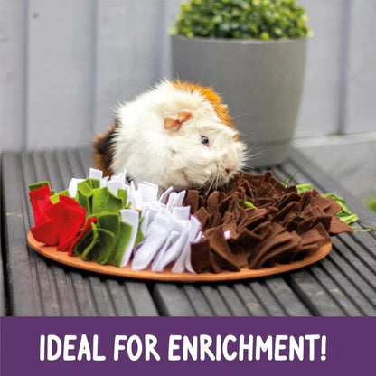 White and brown guinea pig exploring the brown felt strips of the Rosewood Pudding Snuffle & Forage Mat on a wooden outdoor table.