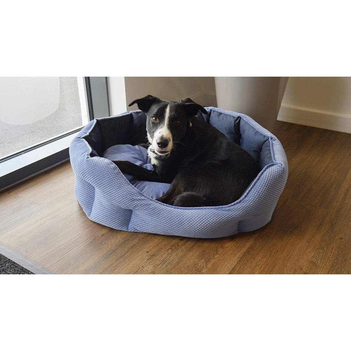 Black and white dog resting inside a Rosewood Quilted Navy Water-Resistant Dog Bed with raised padded sides beside a glass door.