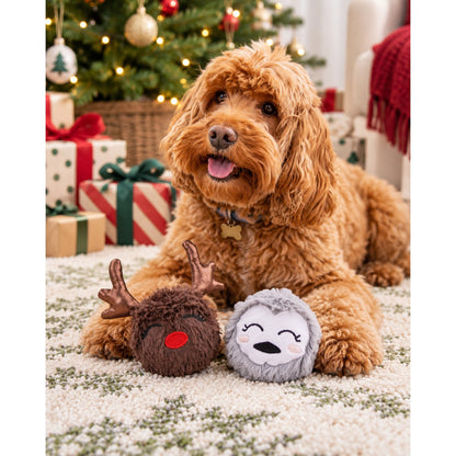 Brown fluffy dog lying beside Rosewood Ralphie Reindeer and Parker Penguin Christmas dog toys near festive wrapped presents.