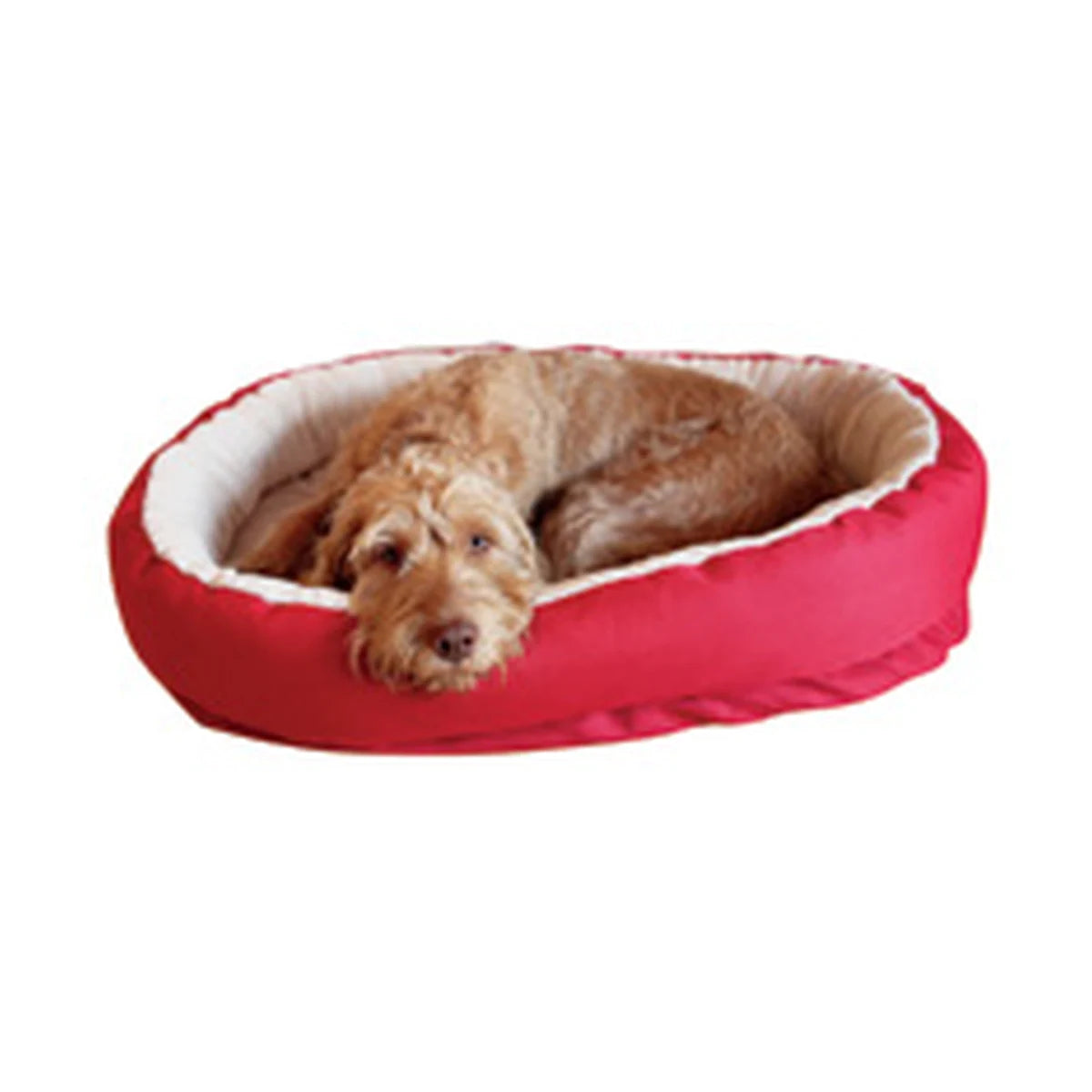 Brown dog resting comfortably in a Rosewood Red Orthopaedic Dog Bed with soft cream plush lining and supportive cushioned sides.