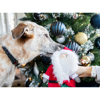 Cream and tan dog reaching towards the Rosewood Sebastian Santa squeaky plush dog toy held by a person in front of a decorated Christmas tree.