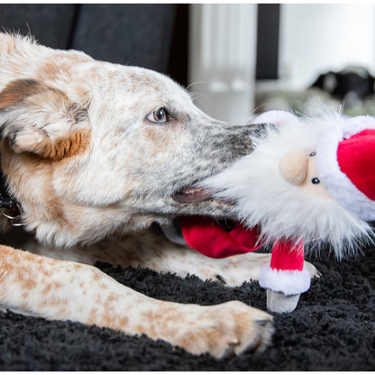 Cream and tan dog lying on a dark rug and playing with the Rosewood Sebastian Santa Christmas plush dog toy, holding the Santa's fluffy white beard in its mouth.