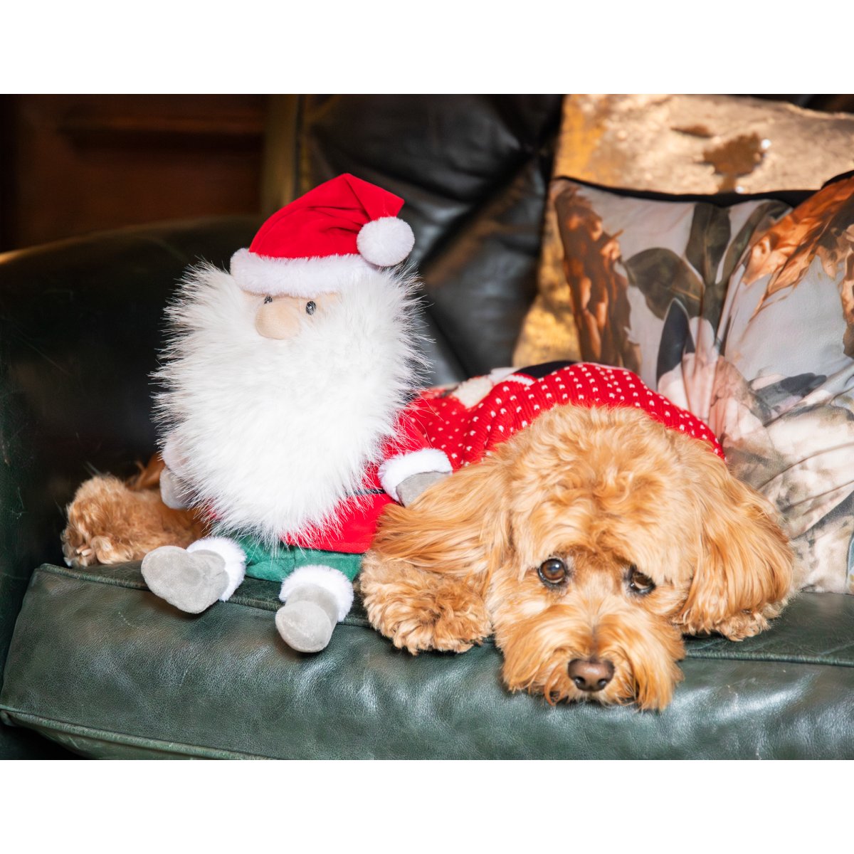 Rosewood Sebastian Santa Christmas plush dog toy sitting beside a relaxed caramel-coloured curly-haired dog on a dark green sofa with festive cushions.
