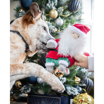Cream and tan dog sniffing the Rosewood Sebastian Santa Christmas plush dog toy held by a person in front of a decorated Christmas tree with gold and blue baubles.