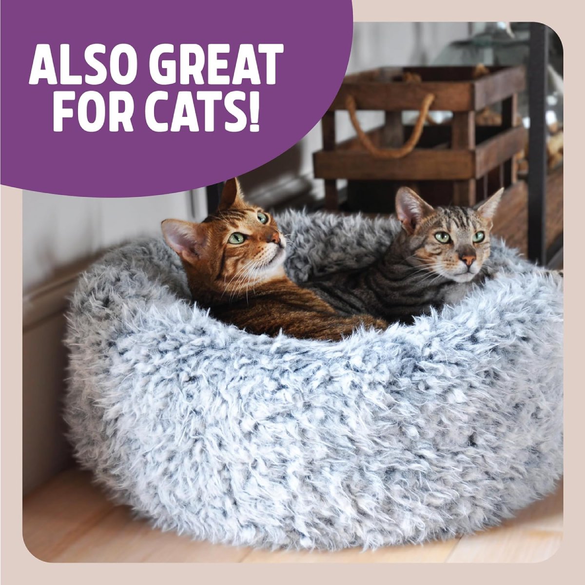 Two tabby cats relaxing together inside the Rosewood Silver Fluff Comfort Round Cat Bed with soft grey faux fur and cosy raised edges