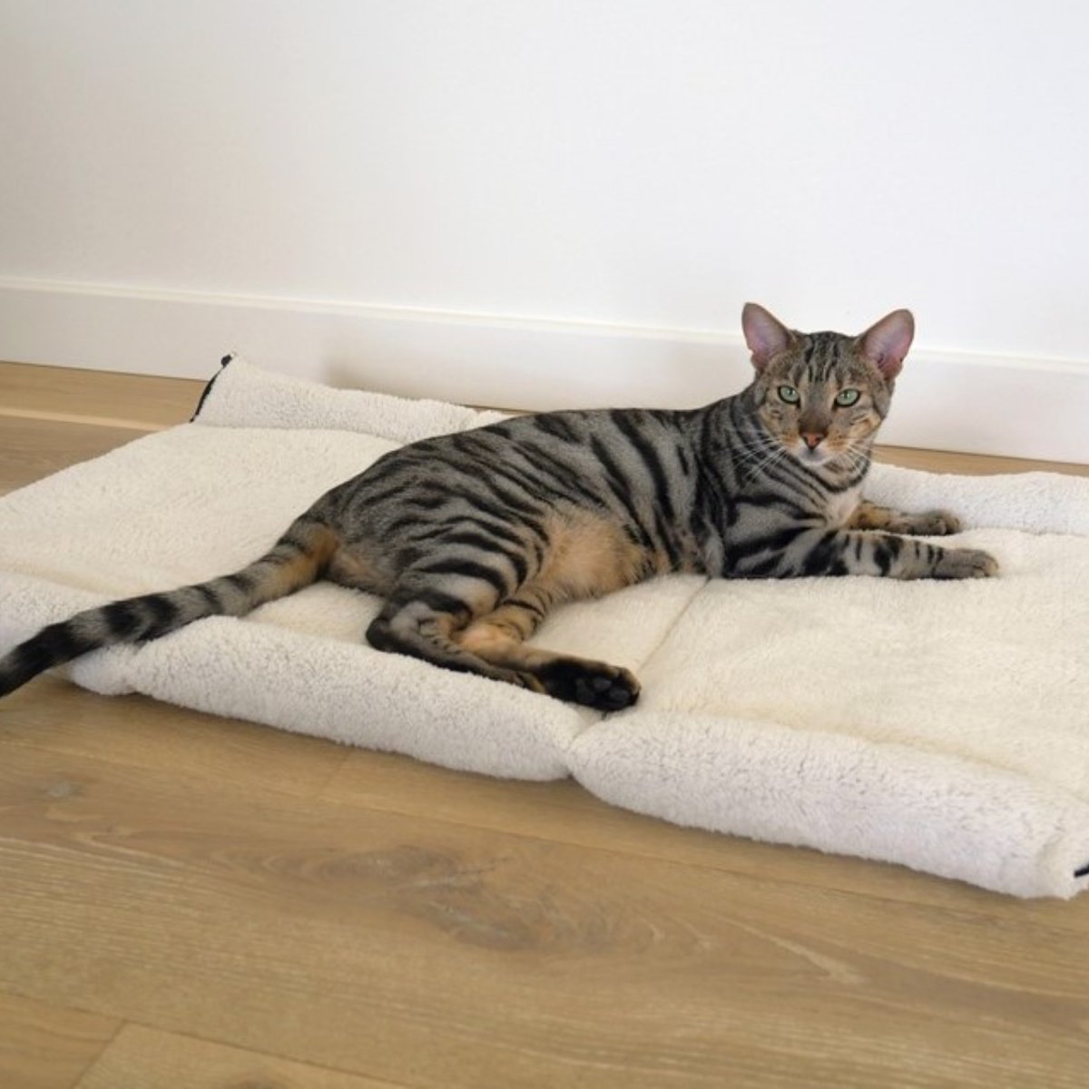 Cat resting on the Rosewood Snuggle Plush 2-in-1 Cat Comfort Den unfolded into a flat blanket