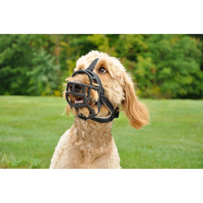 Dog wearing Rosewood Soft Basket Dog Muzzle outdoors