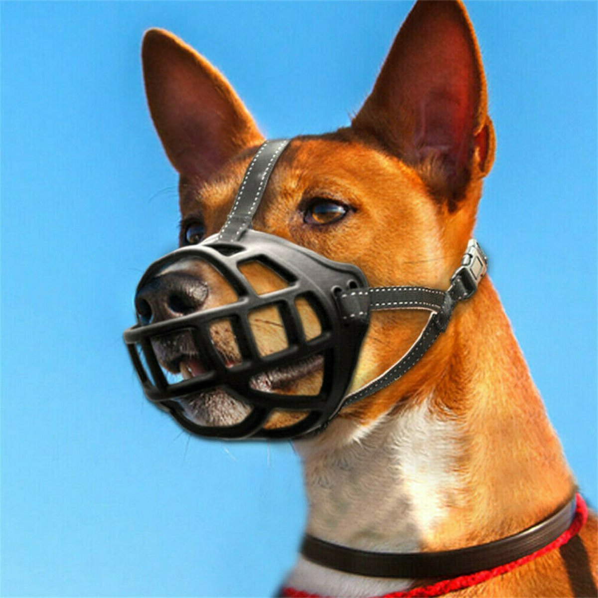 Rosewood Soft Basket Dog Muzzle fitted on dog