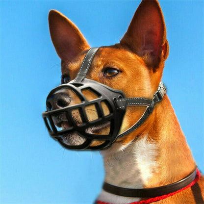 Rosewood Soft Basket Dog Muzzle fitted on dog