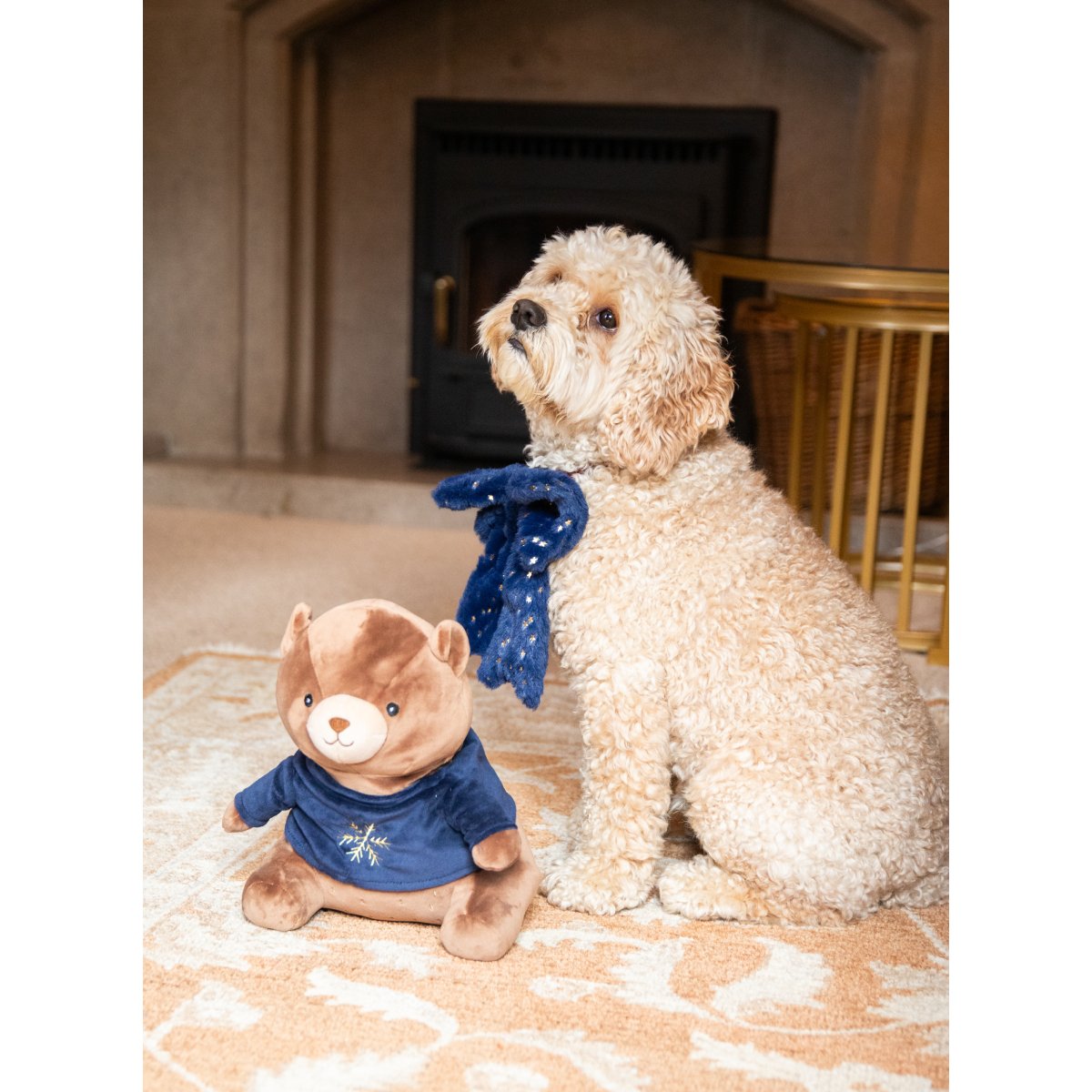 Cream-coloured dog wearing the Rosewood Sparkle Slide-On Bow in navy blue with gold stars, sitting beside a festive plush bear toy indoors.