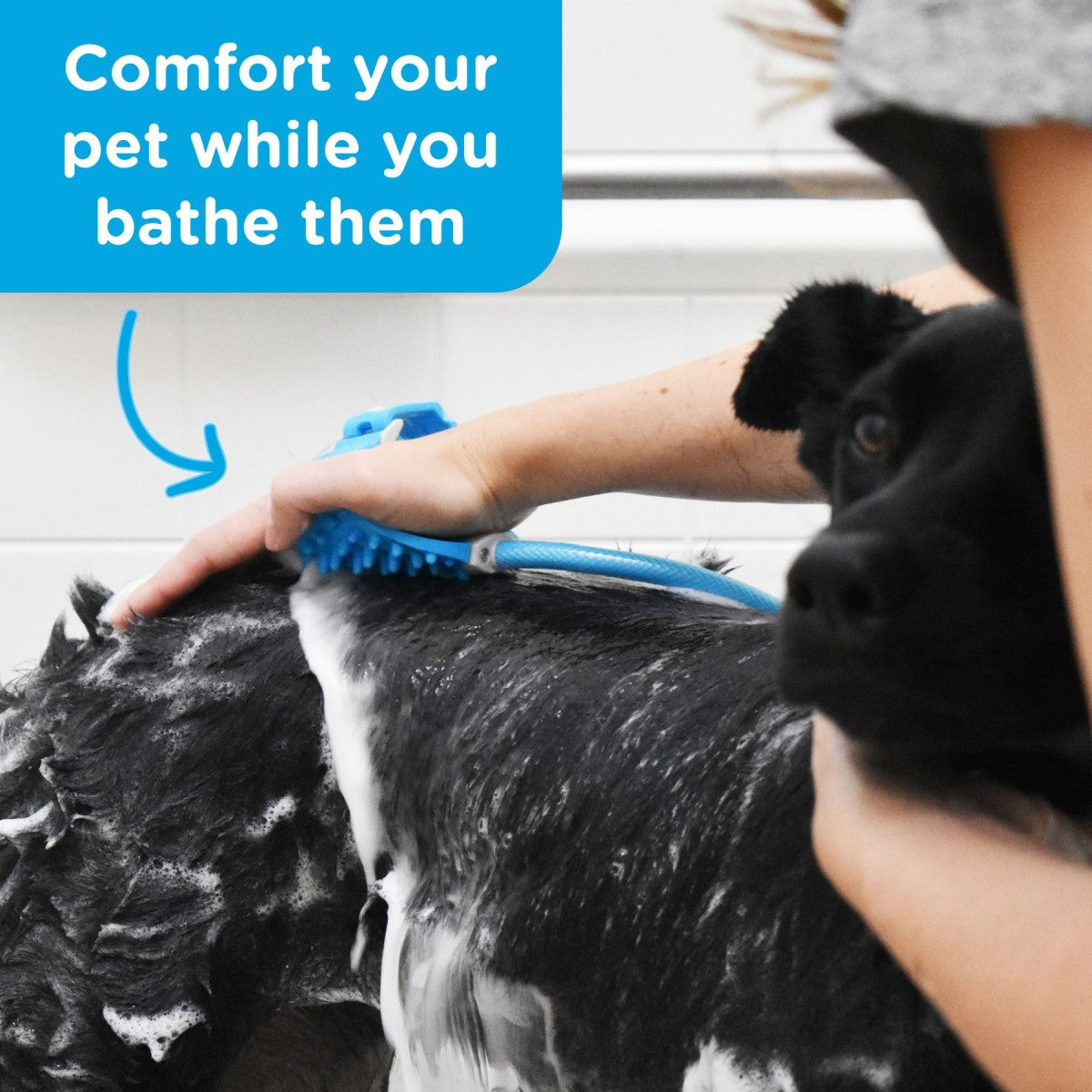 Rosewood Aquapaw Bathing Tool helping wash and comfort dog during bath