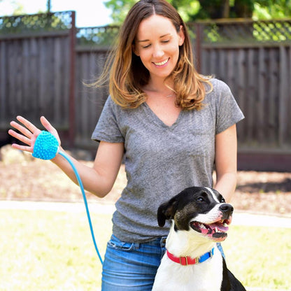 Woman using Rosewood Aquapaw Bathing Tool with dog outdoors