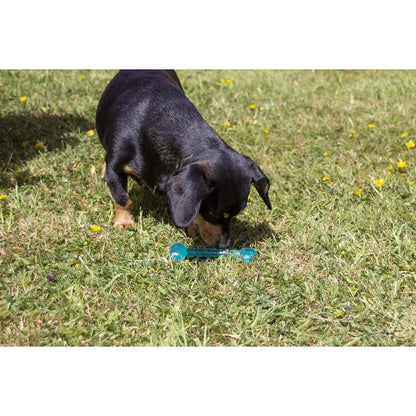 Small dog playing with Rosewood BioSafe Puppy Bone on grass for supervised puppy chew and dental play