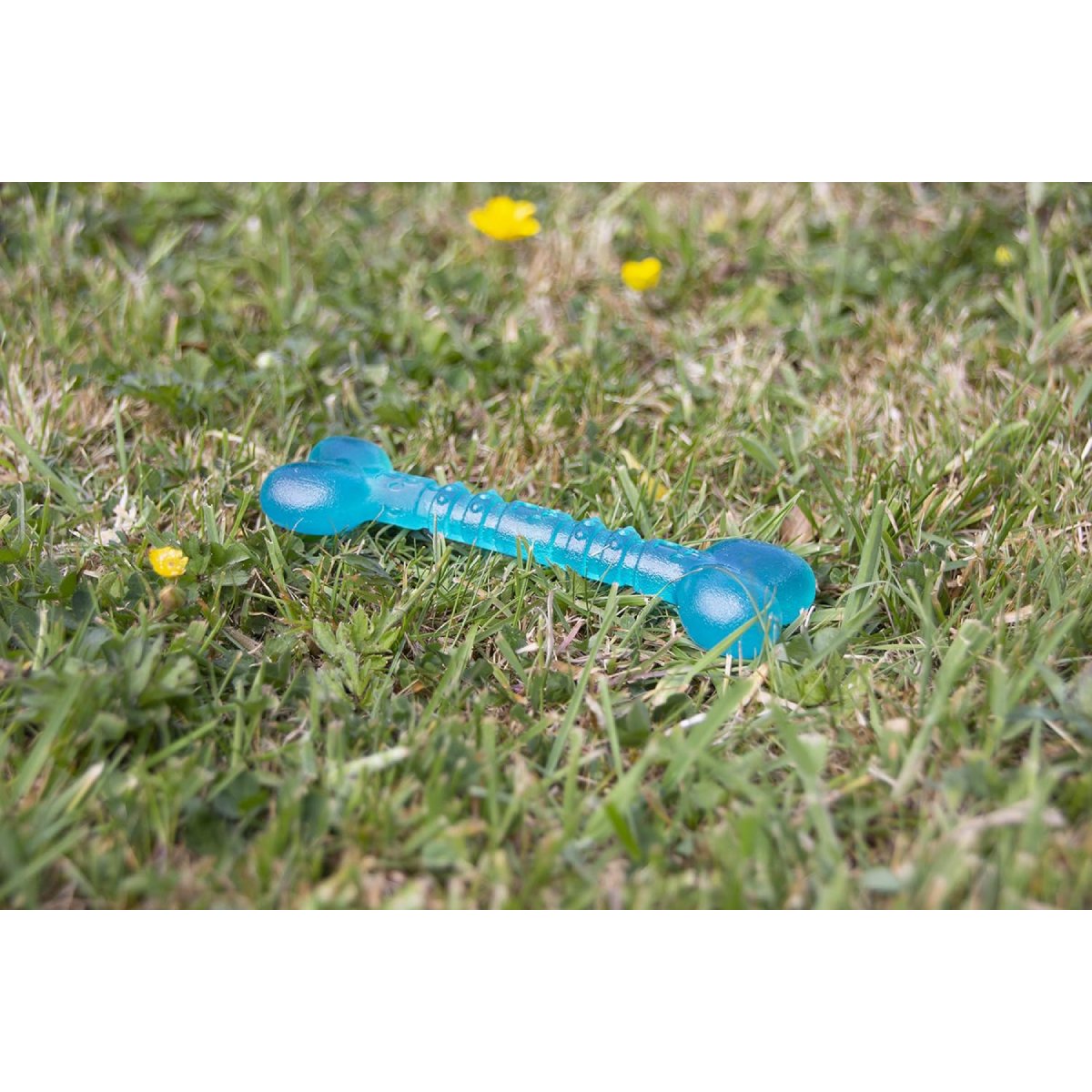 Blue Rosewood BioSafe Puppy Bone on grass showing floating puppy toy for outdoor play