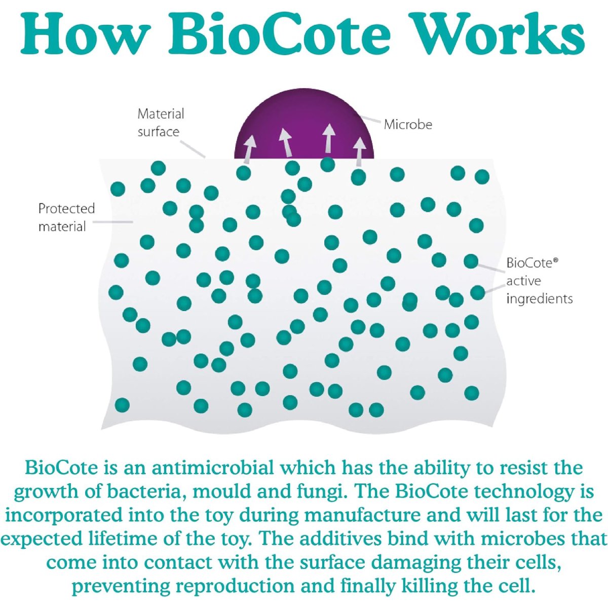 BioCote antimicrobial technology explanation for Rosewood BioSafe Puppy Ring dog toy