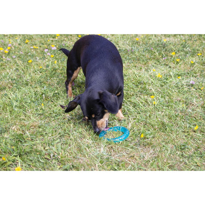 Small dog playing with Rosewood BioSafe Puppy Ring on grass for supervised puppy chew and dental play