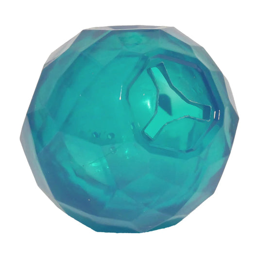 Blue Rosewood BioSafe Puppy Treat Ball close-up showing textured dental surface and paw print details