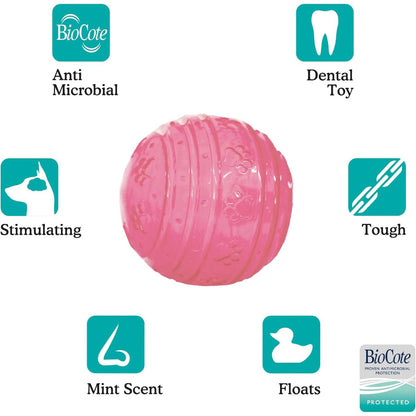 Rosewood BioSafe Puppy Treat Ball features showing antimicrobial protection, dental toy, mint scent, tough design and floating play