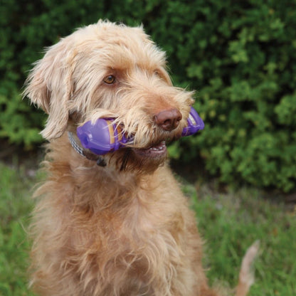 Dog holding Rosewood Jolly Doggy Giggle Bone toy outdoors for interactive play