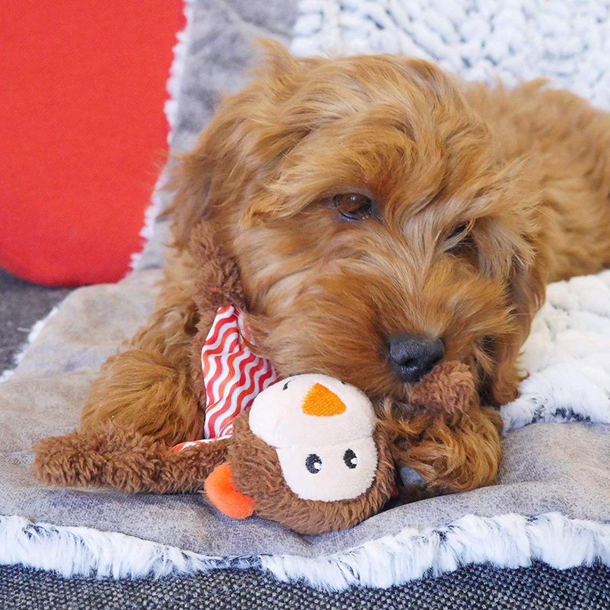 Puppy cuddling Rosewood Little Nippers Cheeky Chimp soft plush toy for gentle play