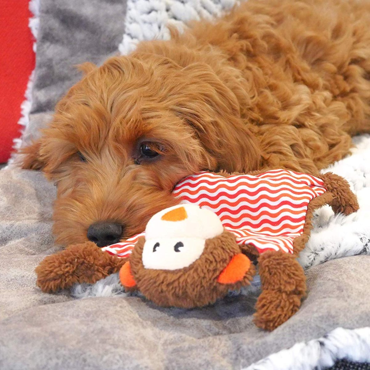Puppy playing with Rosewood Little Nippers Cheeky Chimp crinkle squeaky comfort toy
