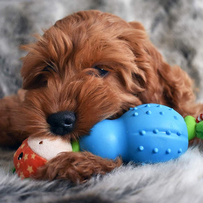 Puppy cuddling and chewing Rosewood Little Nippers Jolly Giraffe toy for teething and gentle play