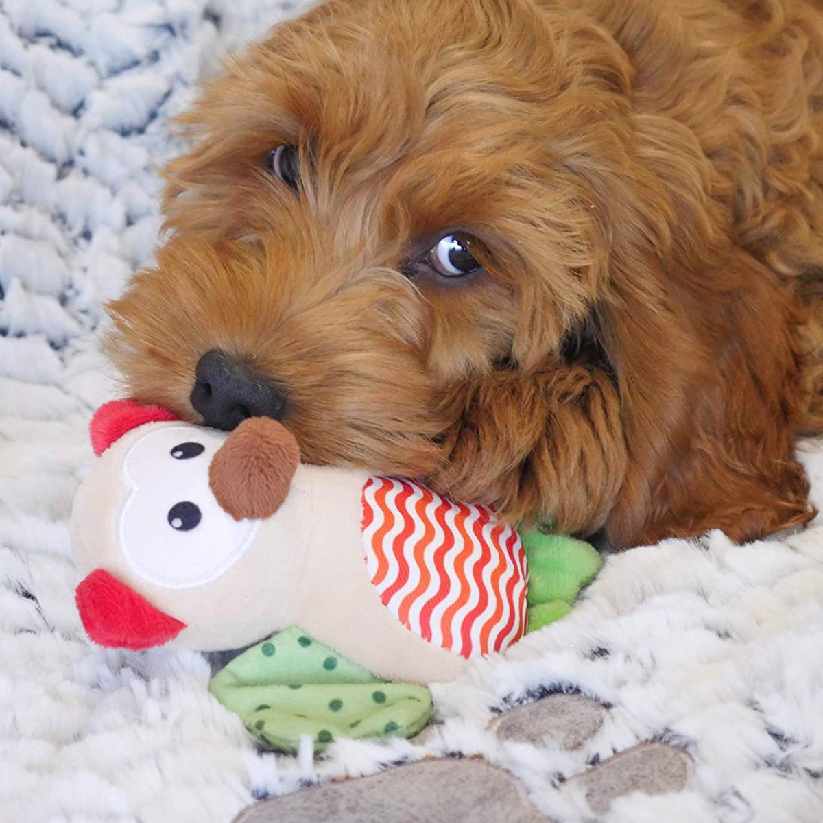 Puppy cuddling and chewing Rosewood Little Nippers Wise Owl plush toy for small dogs and teething pups