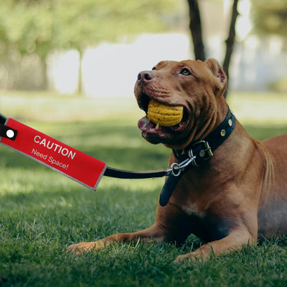 Red caution need space alert sleeve on a dog leash to help others give more distance on walks