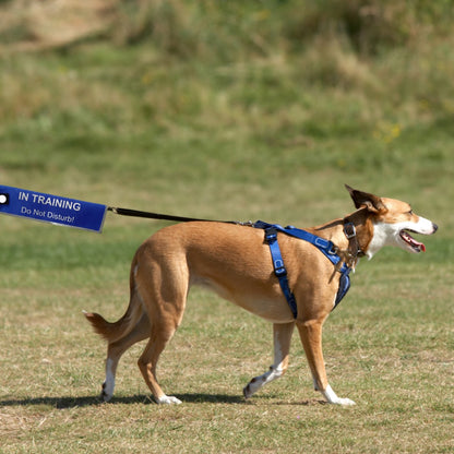 In Training dog alert sleeve attached to a leash during a walk to help reduce distractions